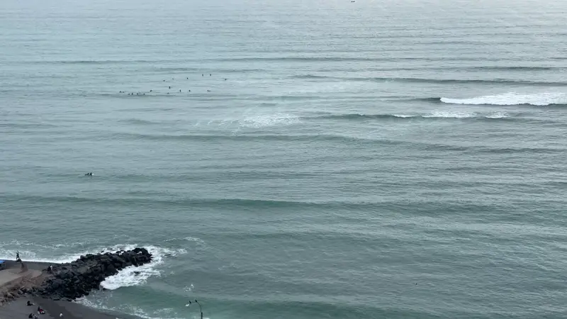 잔잔한 파도와 서핑하는 사람들