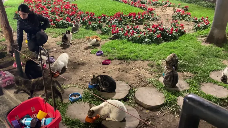 존 에프 케네디 공원