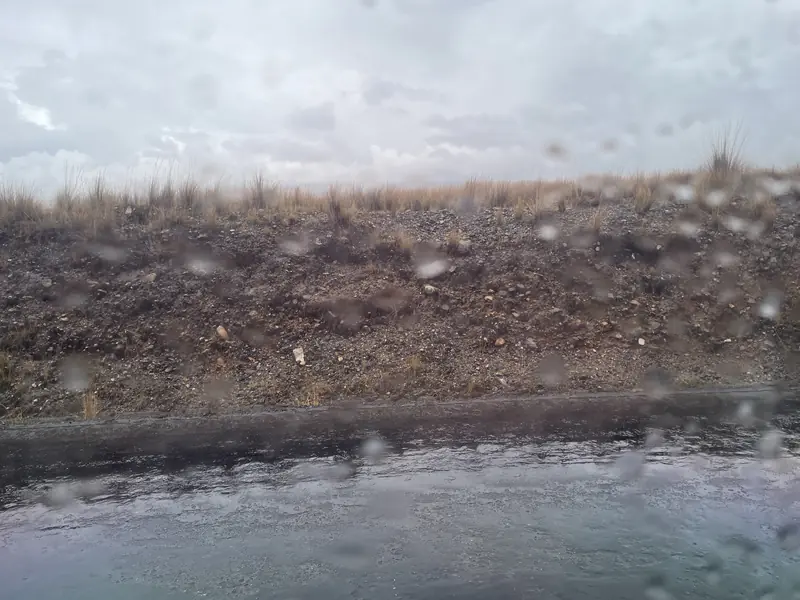 버스가 정차했던 두 번째 위치